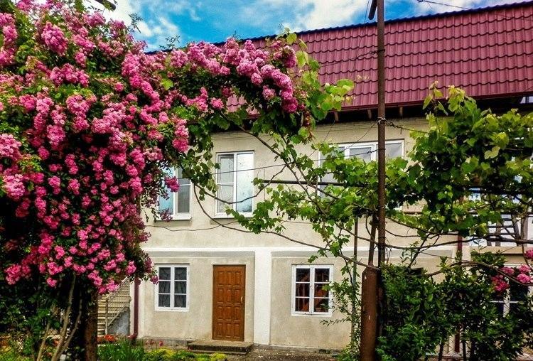 Guest House Anna ซุคุม ภายนอก รูปภาพ
